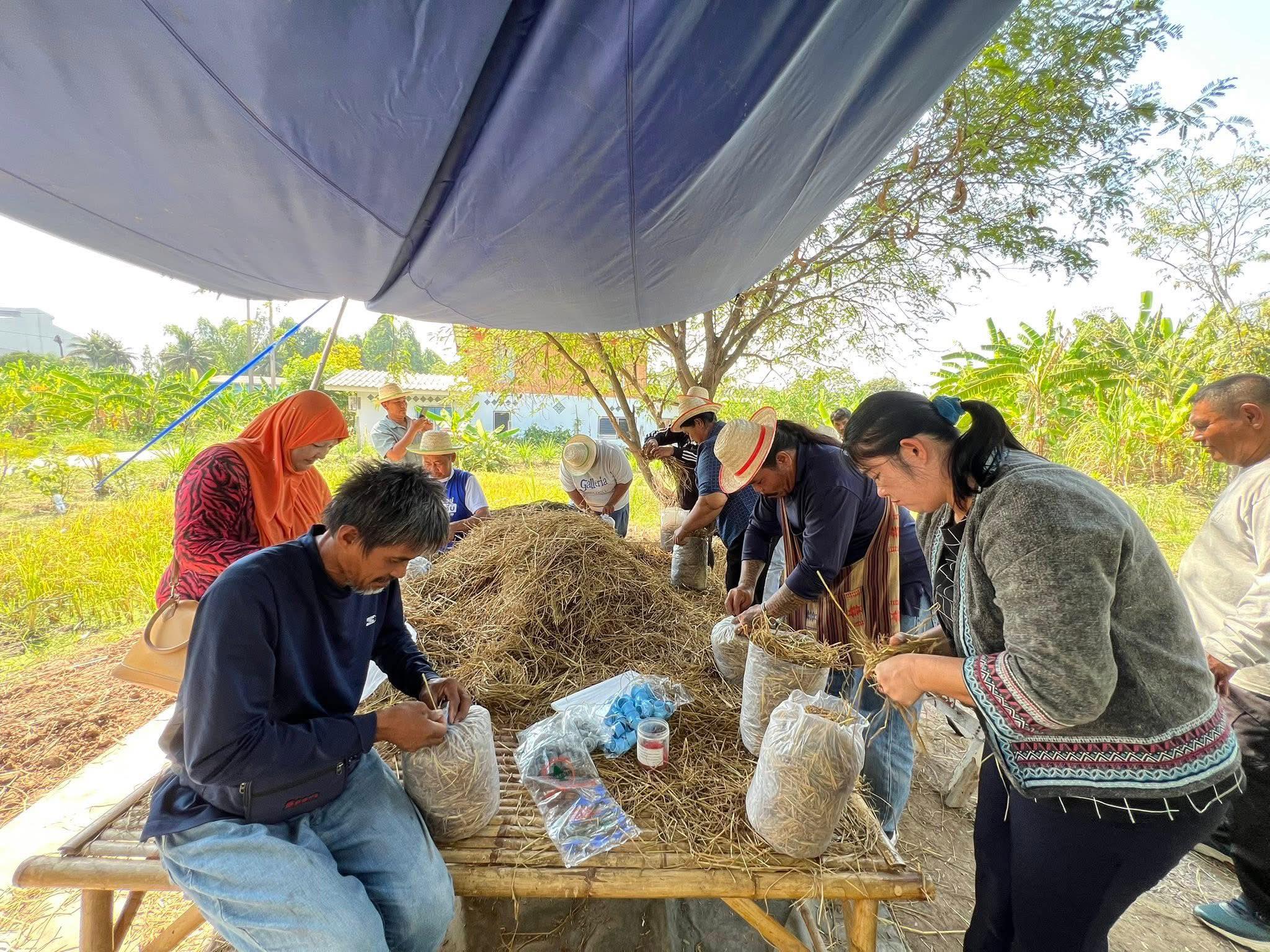 title - ส.ป.ก.อ่างทอง จัดฝึกอบรมโครงการพัฒนาเกษตรกรรมยั่งยืน  กิจกรรมพัฒนาเกษตรกรรมยั่งยืนในเขตปฏิรูปที่ดิน ปีงบประมาณ พ.ศ. 2569 หลักสูตร “การขยายองค์ความรู้เกษตรกรรมยั่งยืนในเขตปฏิรูปที่ดิน”